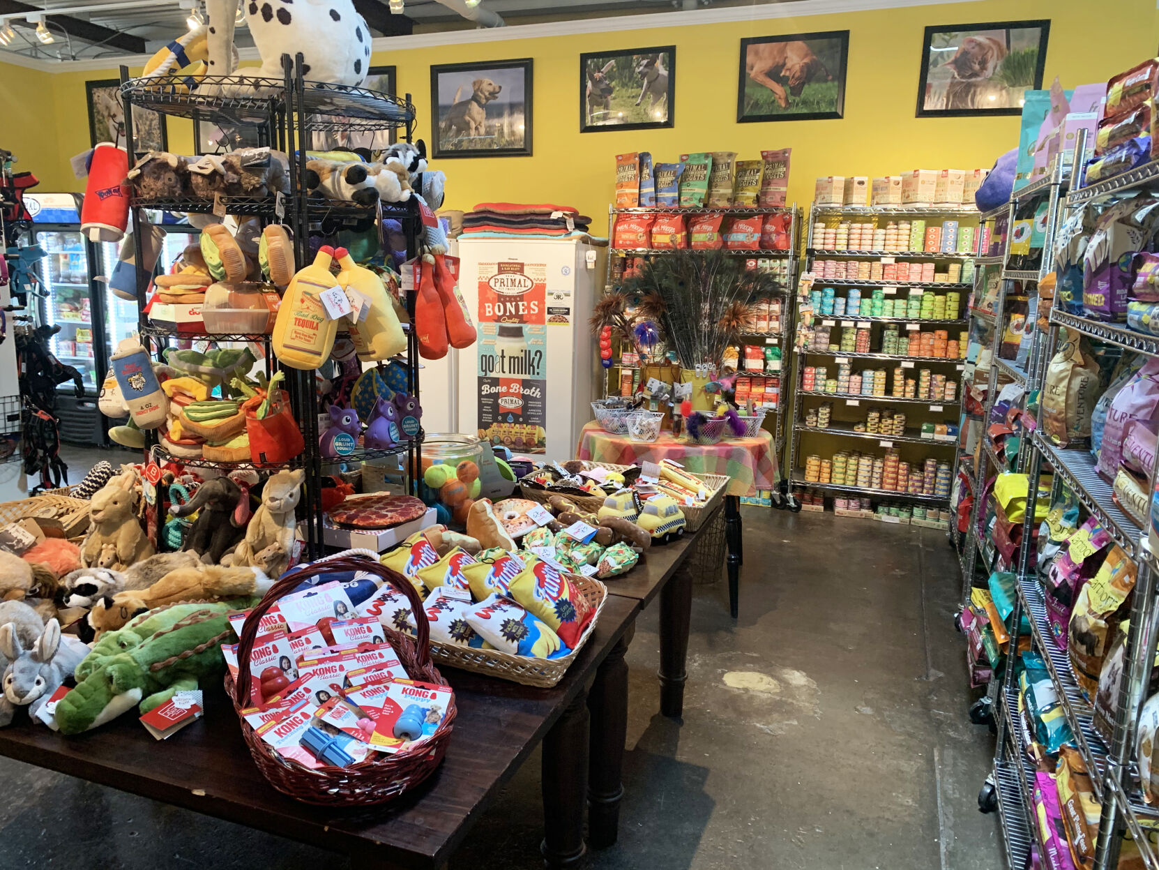 Animal Connection interior 4.jpg